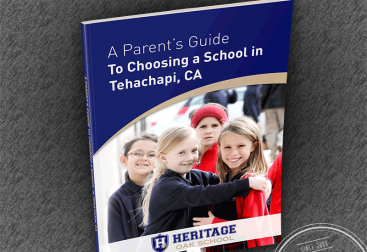 school_book_cover_design
