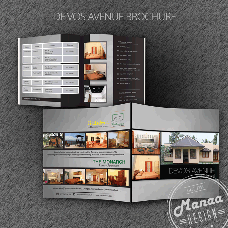 avenue_brochure_design